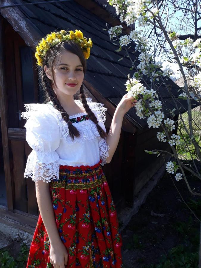 Pensiunea Maria Sighetu Marmaţiei Extérieur photo