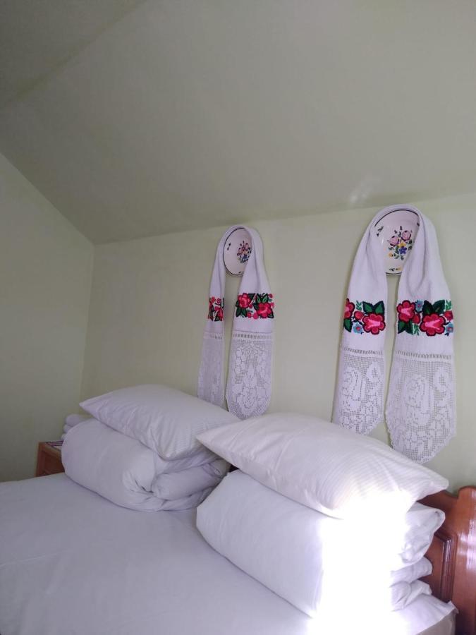 Pensiunea Maria Sighetu Marmaţiei Extérieur photo